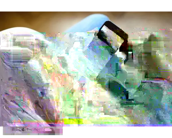 金沙APP下载引领娱乐新体验畅享全方位精彩游戏与优惠活动